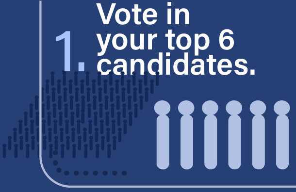 1. Vote in your top 6 candidates.